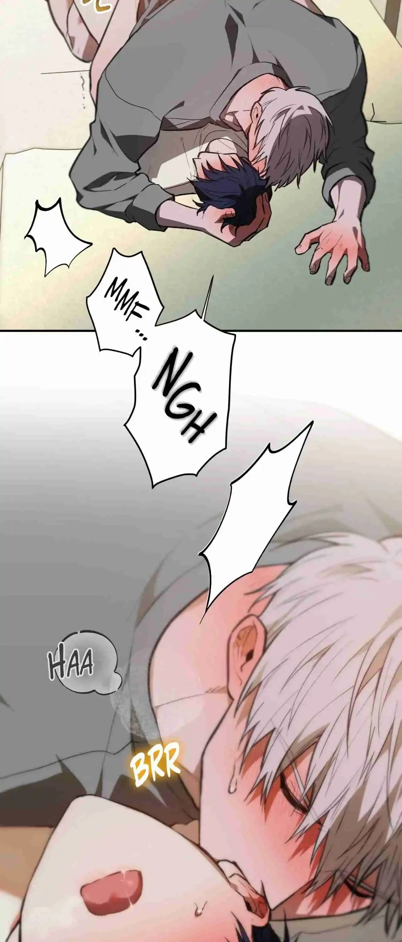 Página 41