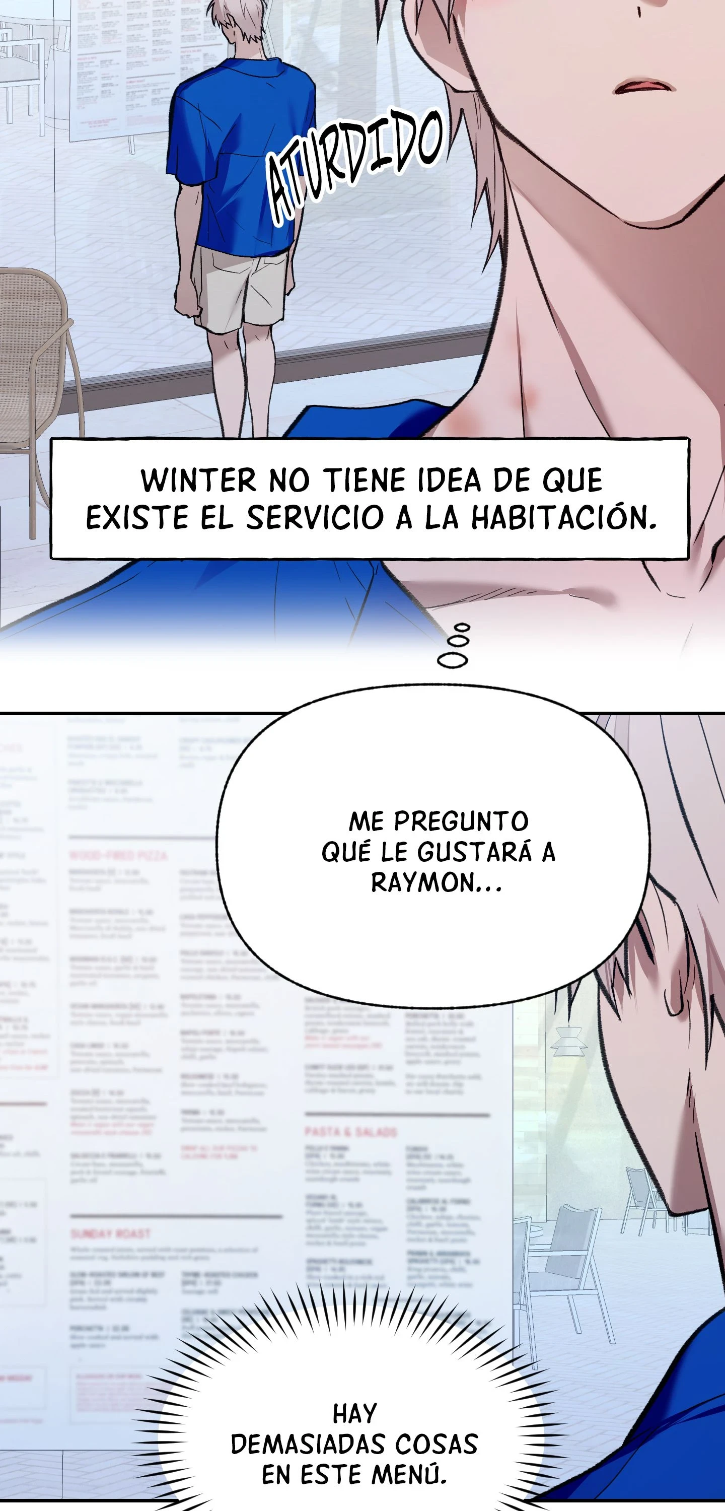 Página 17