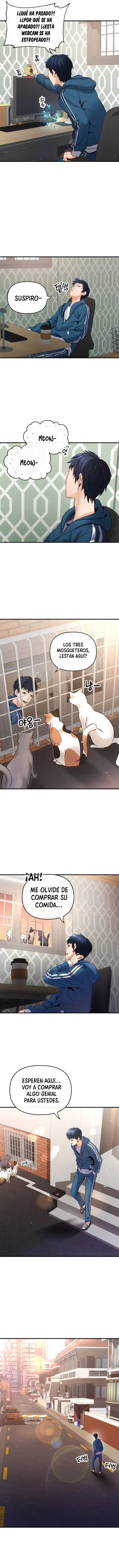 Página 7