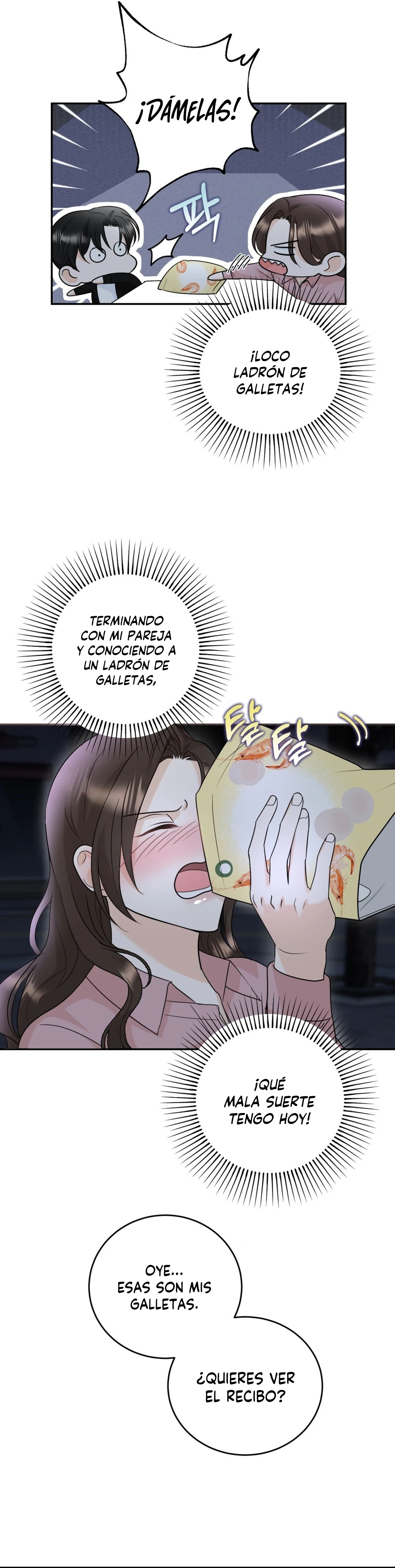 Página 17