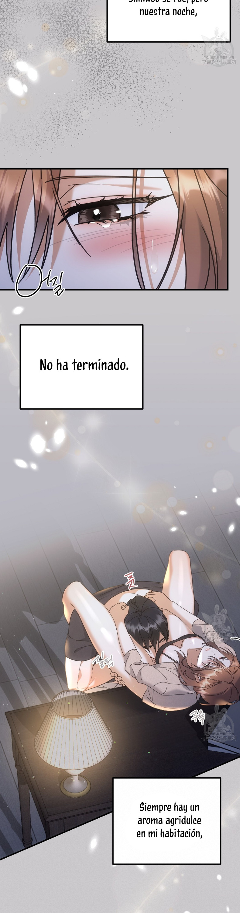 Página 19