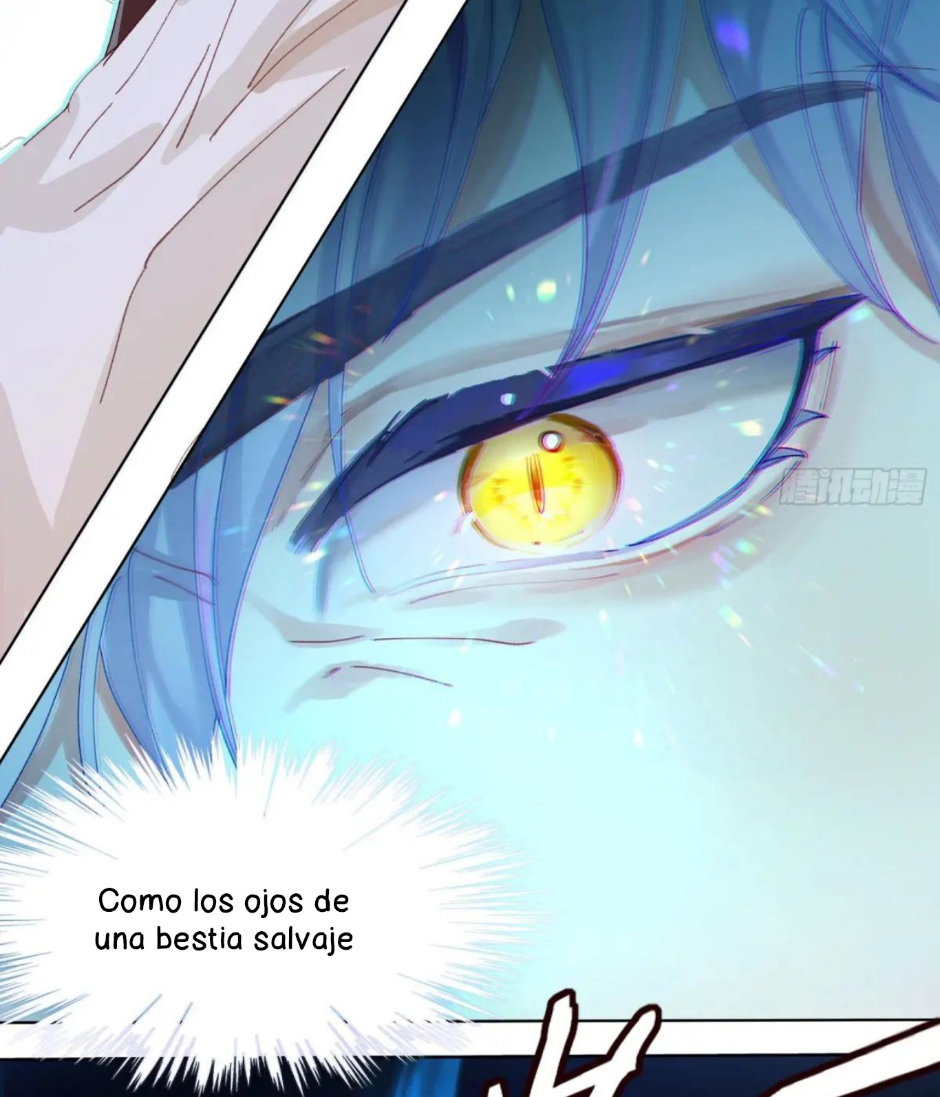 Página 31