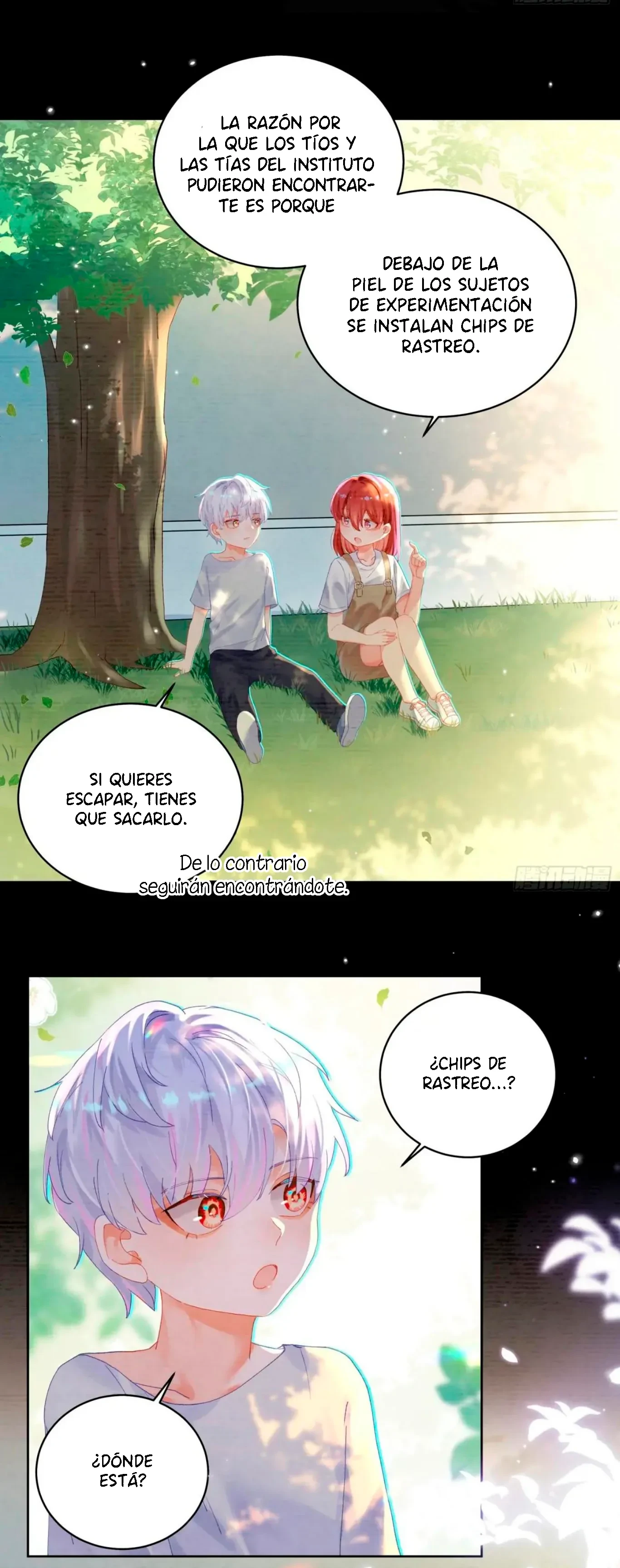 Página 12