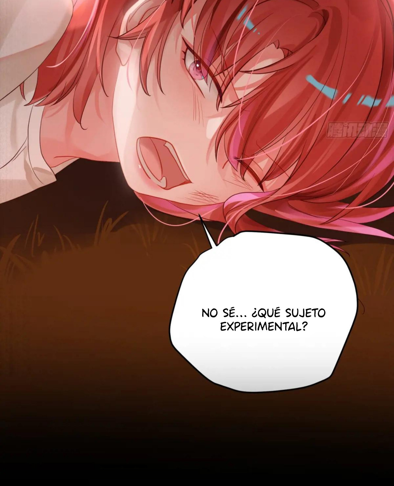 Página 6