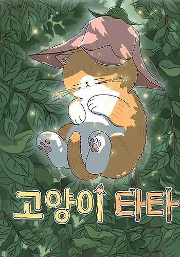 Tata el gato